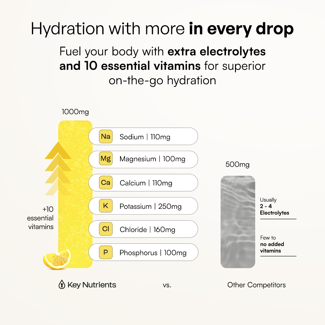Sugar-Free Electrolyte Recovery Powder | Key Nutrients