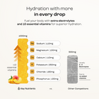 Sugar-Free Electrolyte Recovery Powder | Key Nutrients