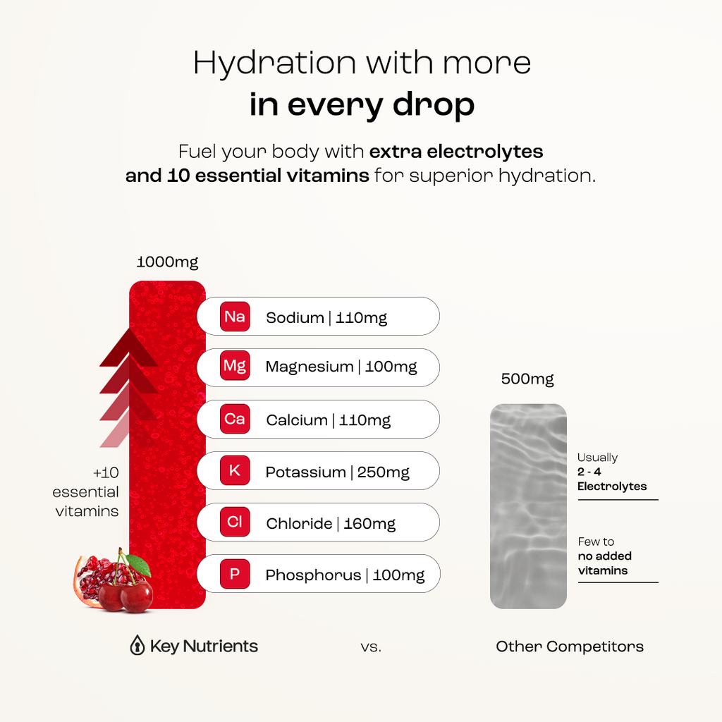 Sugar-Free Electrolyte Recovery Powder | Key Nutrients