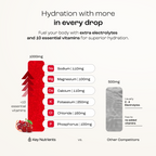 Sugar-Free Electrolyte Recovery Powder | Key Nutrients