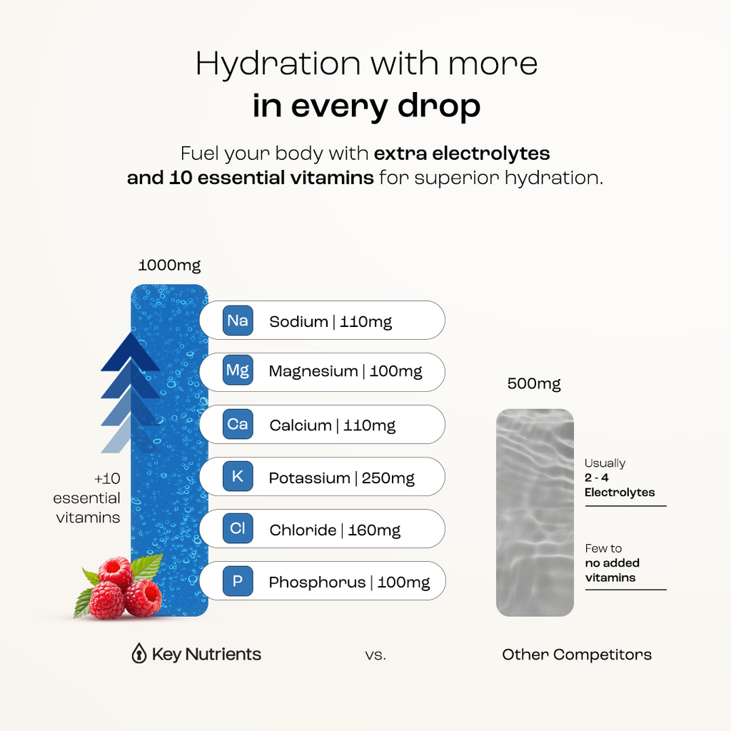 Sugar-Free Electrolyte Recovery Powder | Key Nutrients
