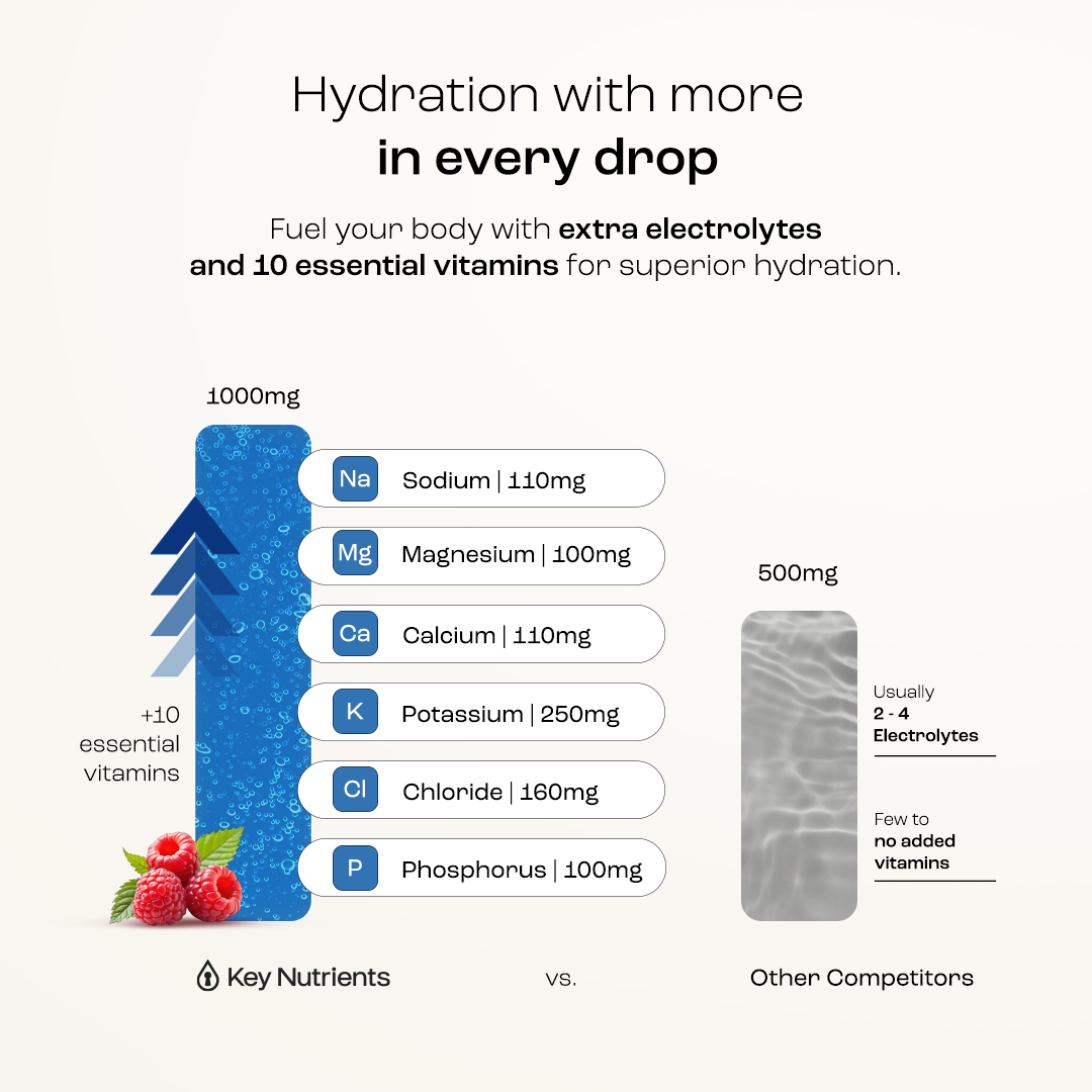 Sugar-Free Electrolyte Recovery Powder | Key Nutrients
