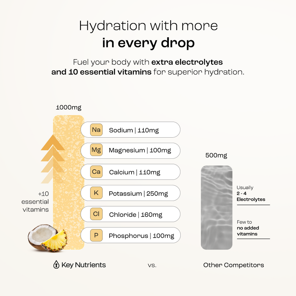 Sugar-Free Electrolyte Recovery Powder | Key Nutrients