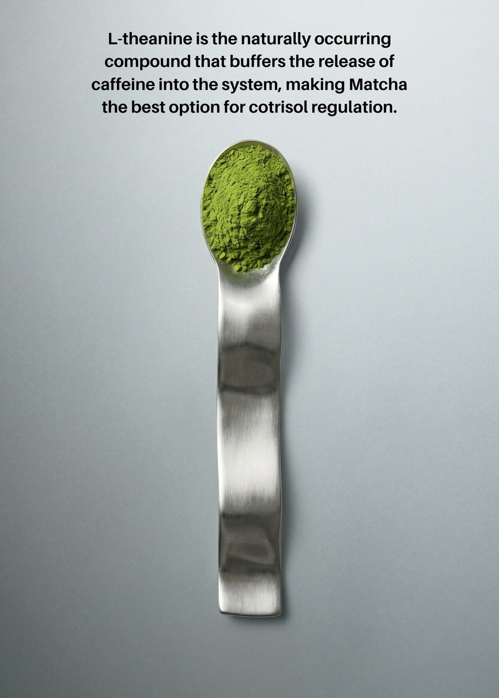 A silver spoon filled with bright green matcha powder is centered on a light gray background, with black text at the top describing L-theanine and matcha's role in caffeine regulation.