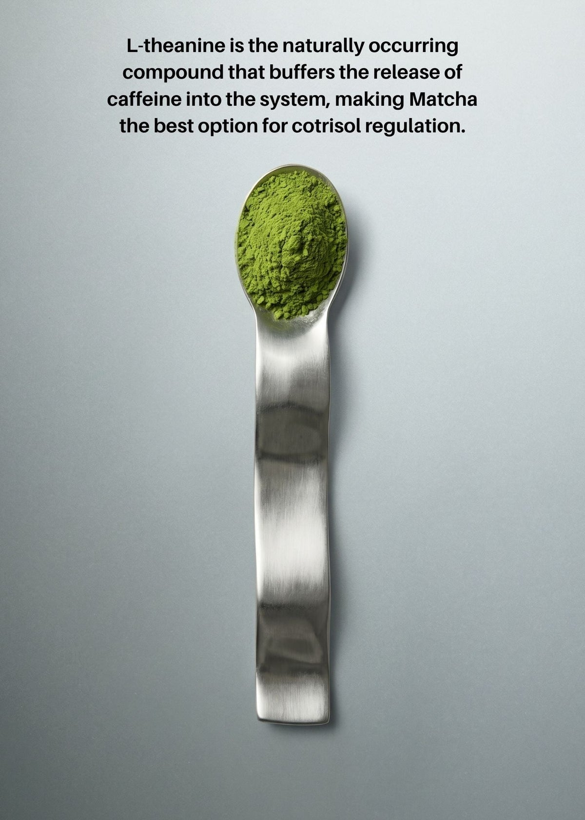 A silver spoon filled with bright green matcha powder is centered on a light gray background, with black text at the top describing L-theanine and matcha's role in caffeine regulation.