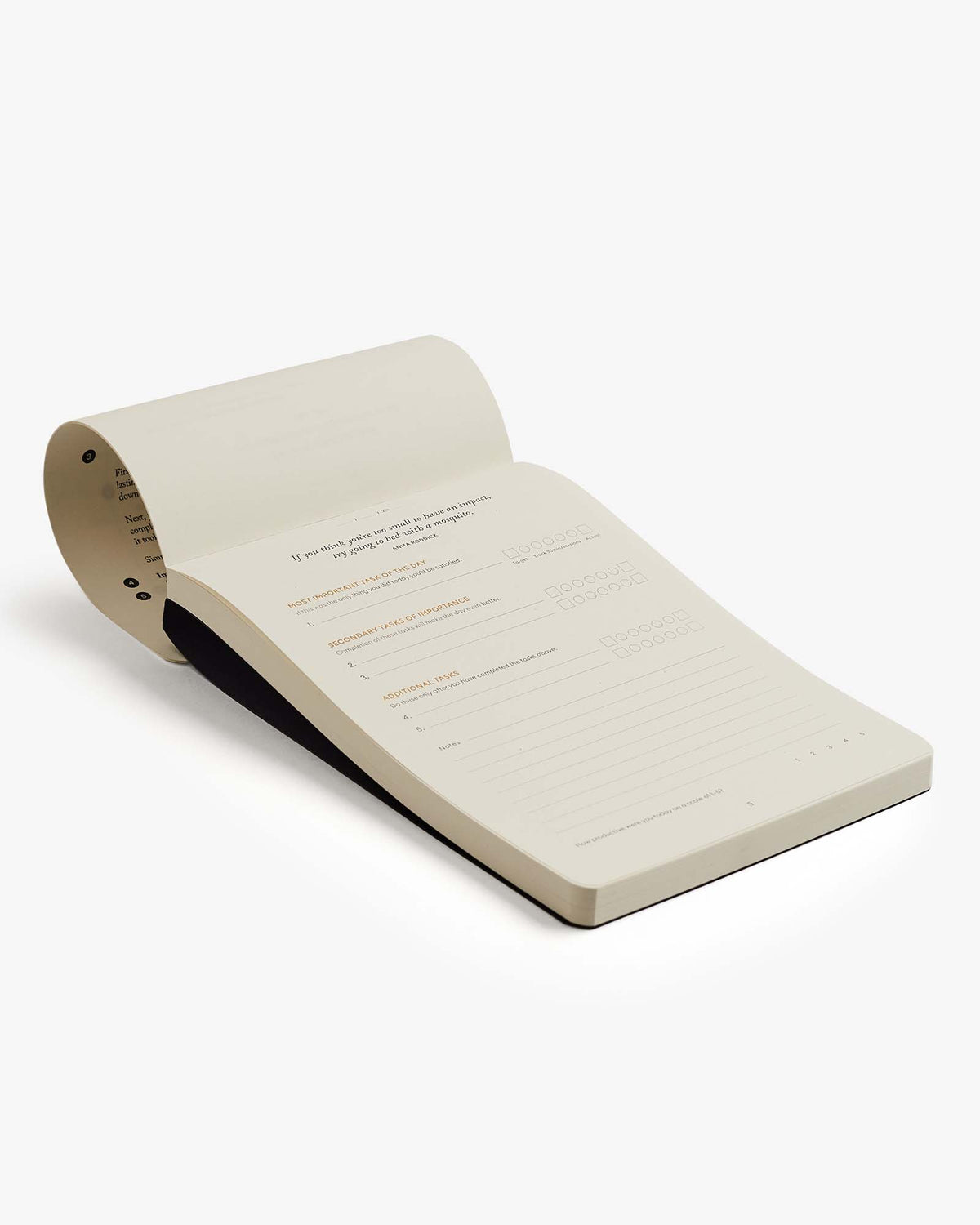 Roll of paper with pre-printed forms on a white background