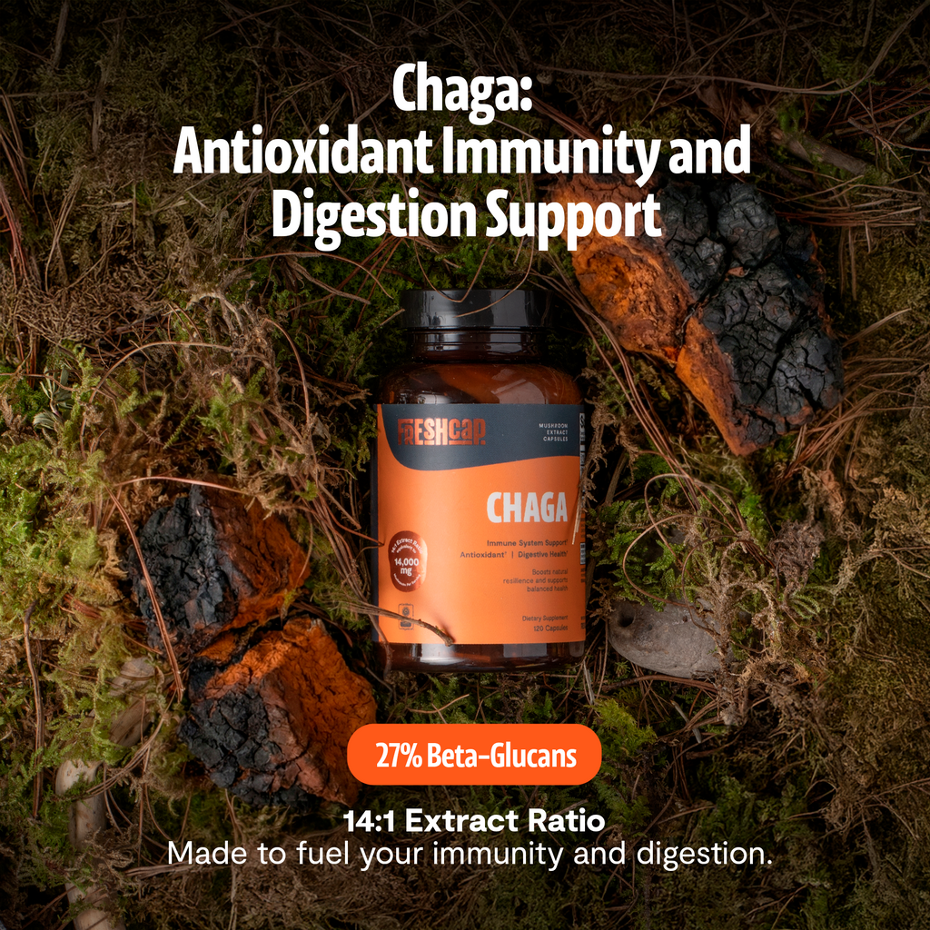 Chaga Mushroom Extract Capsules | Antioxidant Support | FreshCap