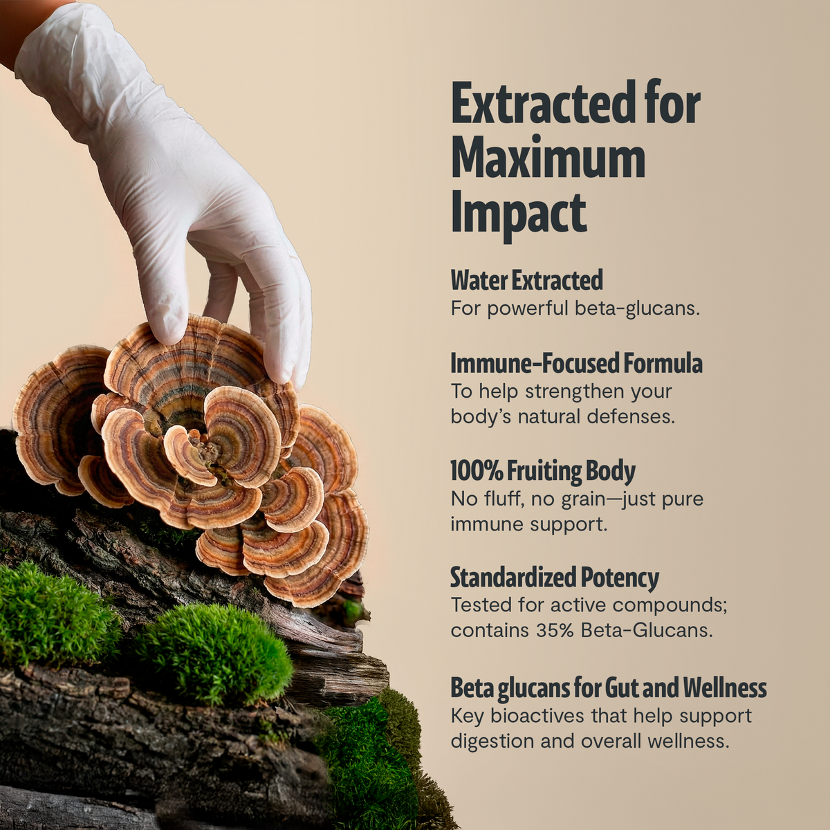 Hand wearing a white glove holding a mushroom with text about immune support and gut health on a beige background.