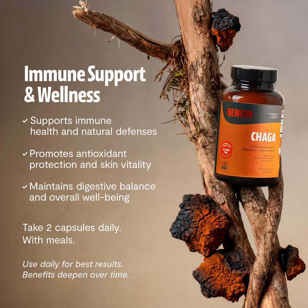 Chaga Mushroom Extract Capsules | Antioxidant Support | FreshCap