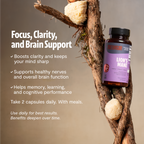 Organic Lion's Mane Capsules | Cognitive Support | FreshCap