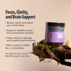 Organic Lion’s Mane Mushroom Powder | FreshCap