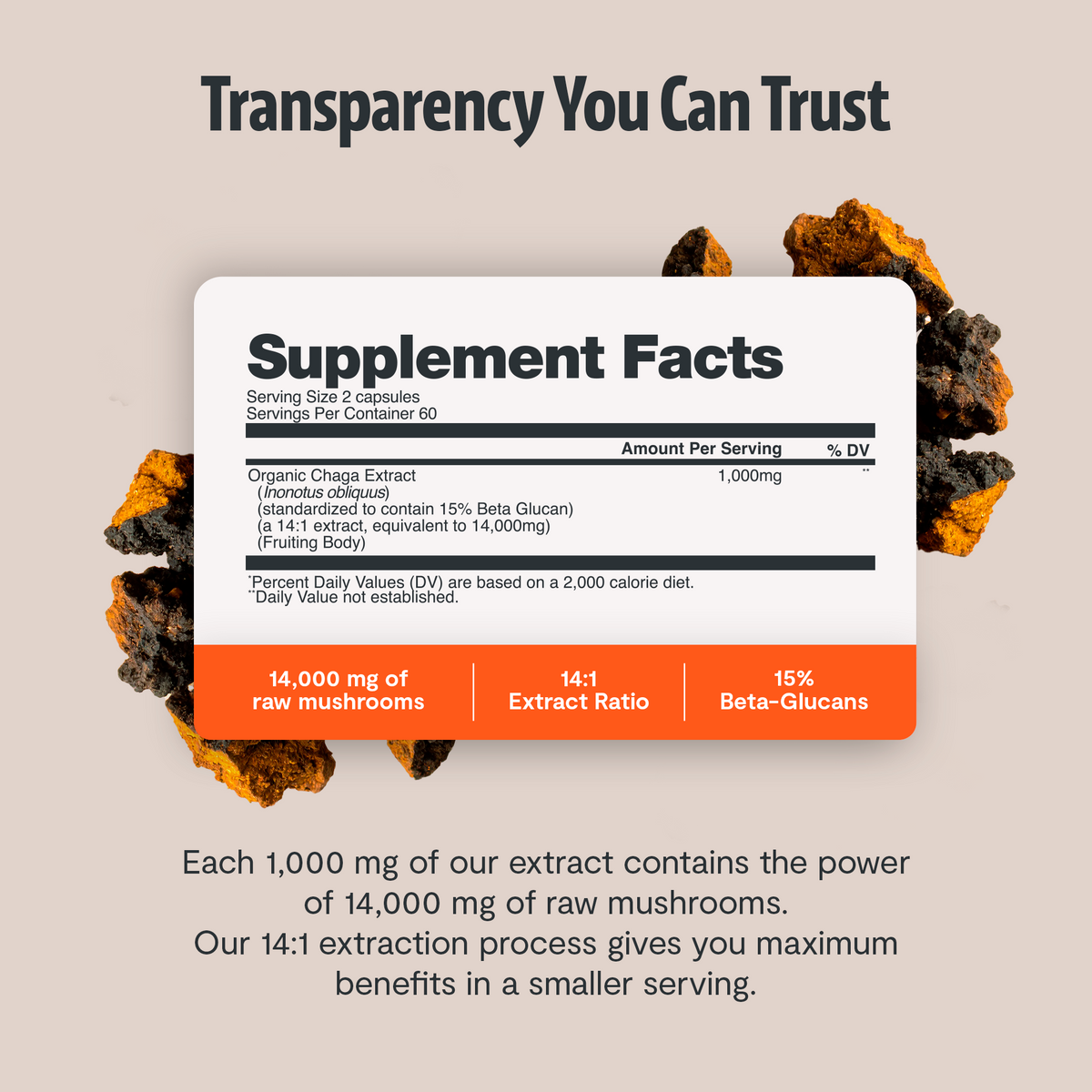 Supplement facts label with chaga extract on a beige background