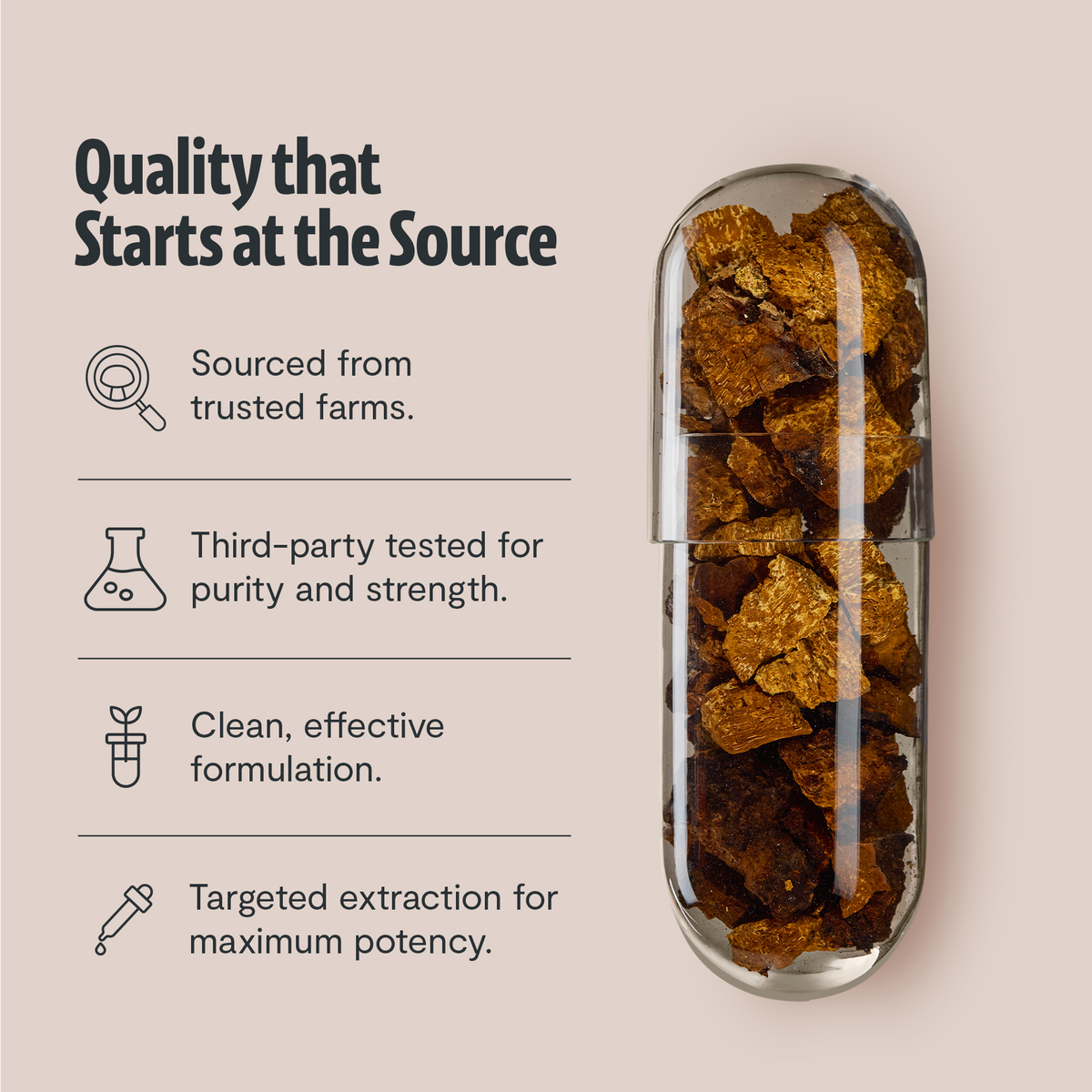 Capsule with dried herbs and quality assurance text on a beige background