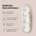 Product packaging with text on quality assurance on a beige background
