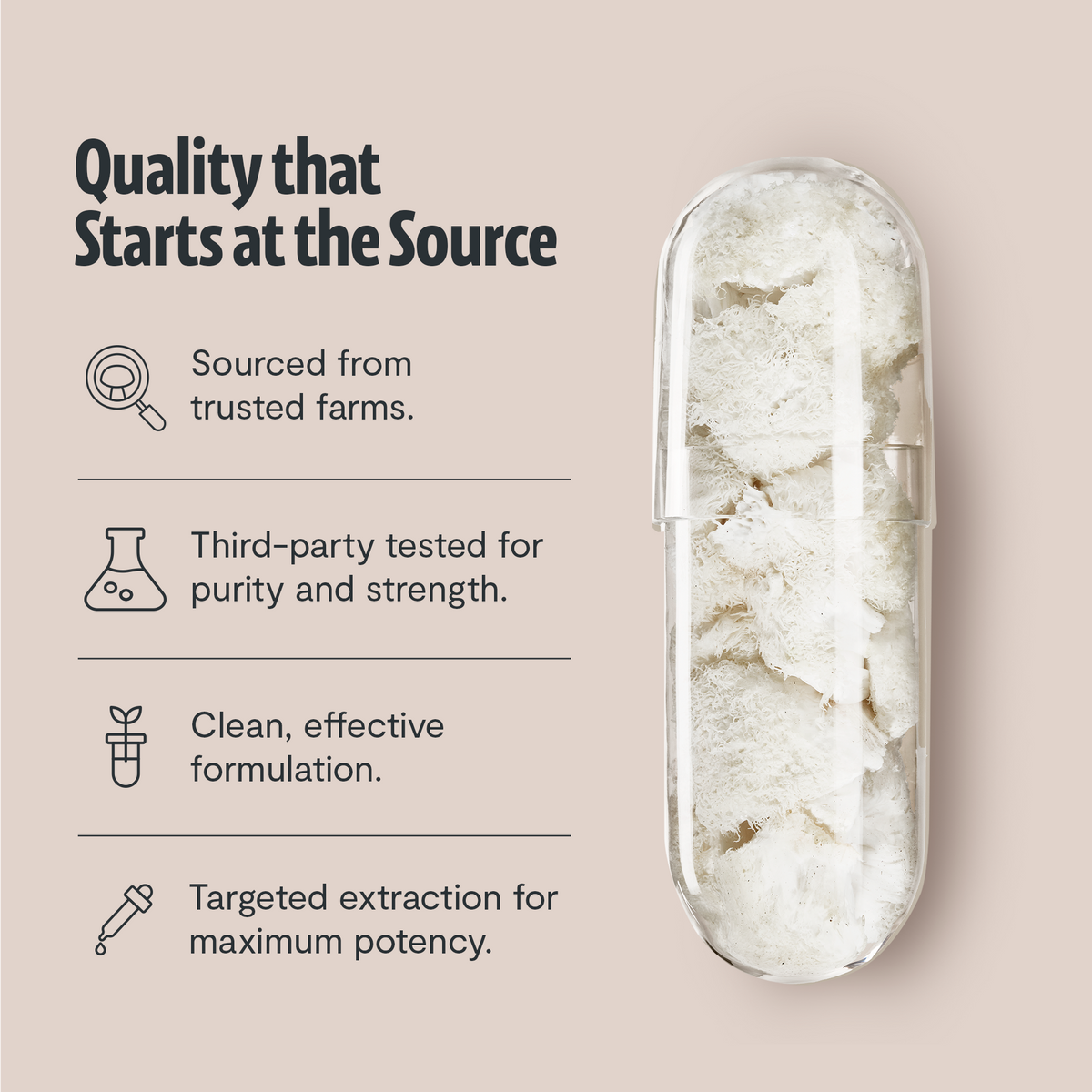 Product packaging with text on quality assurance on a beige background