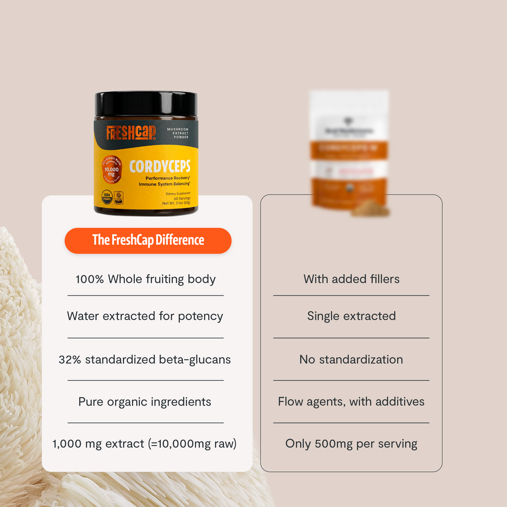 Cordyceps Mushroom Extract Powder | Energy & Performance | FreshCap