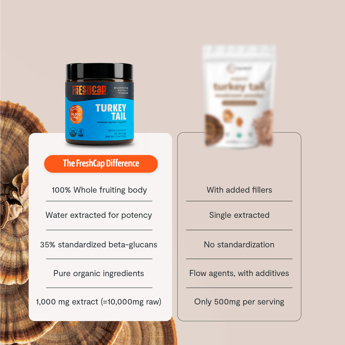 Organic Turkey Tail Mushroom Powder | FreshCap
