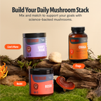 Chaga Mushroom Extract Capsules | Antioxidant Support | FreshCap