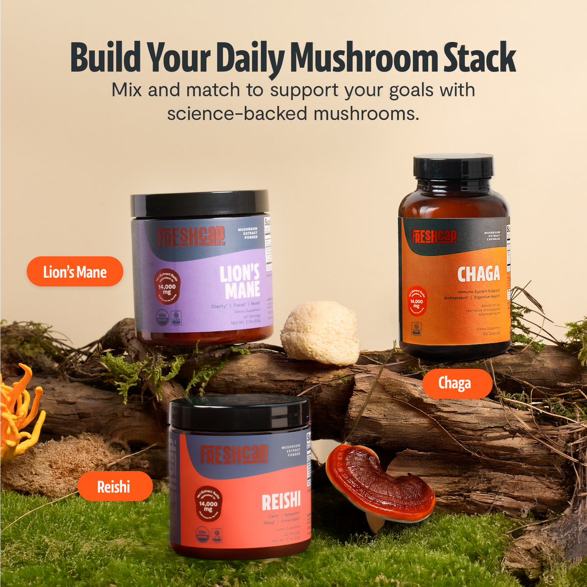 Chaga Mushroom Extract Capsules | Antioxidant Support | FreshCap