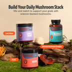 Organic Lion’s Mane Mushroom Powder | FreshCap