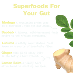 List of superfoods for the gut with images of Moringa, Baobab, Lucuma, Ginger, and Lemon Balm on a white background.