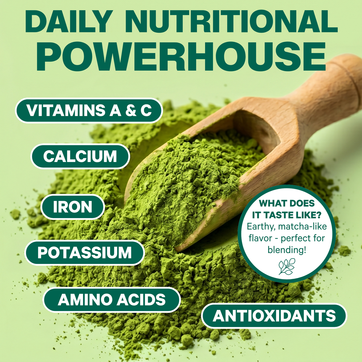 Green powder supplement labeled 'DAILY NUTRITIONAL POWERHOUSE' with a wooden scoop holding bright green powder on a pale green background. Text highlights vitamins A & C, calcium, iron, potassium, amino acids, and antioxidants, with a circular callout describing the flavor as earthy and matcha-like.