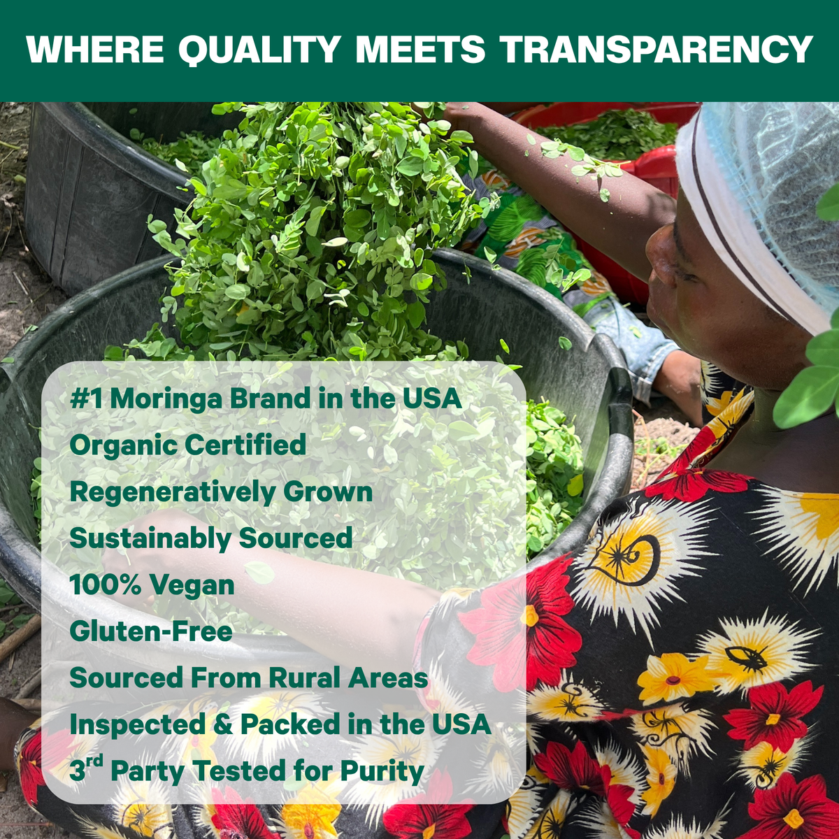 Promotional graphic for Moringa brand featuring a woman in a floral dress and white hairnet sorting green moringa leaves into black buckets. A dark green banner at the top reads 'WHERE QUALITY MEETS TRANSPARENCY' and a semi-transparent white box lists product claims including '#1 Moringa Brand in the USA', 'Organic Certified', and 'Sustainably Sourced'.