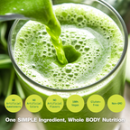 A glass of frothy green juice with green liquid being poured into it, set against a blurred green background. Five light green circular badges at the bottom read: 'NO Artificial Sweeteners', 'NO Artificial Colors', 'NO Artificial Flavors', '100% Vegan', 'Gluten-Free', and 'Non-GMO', with the text 'One SIMPLE Ingredient, Whole BODY Nutrition' below.