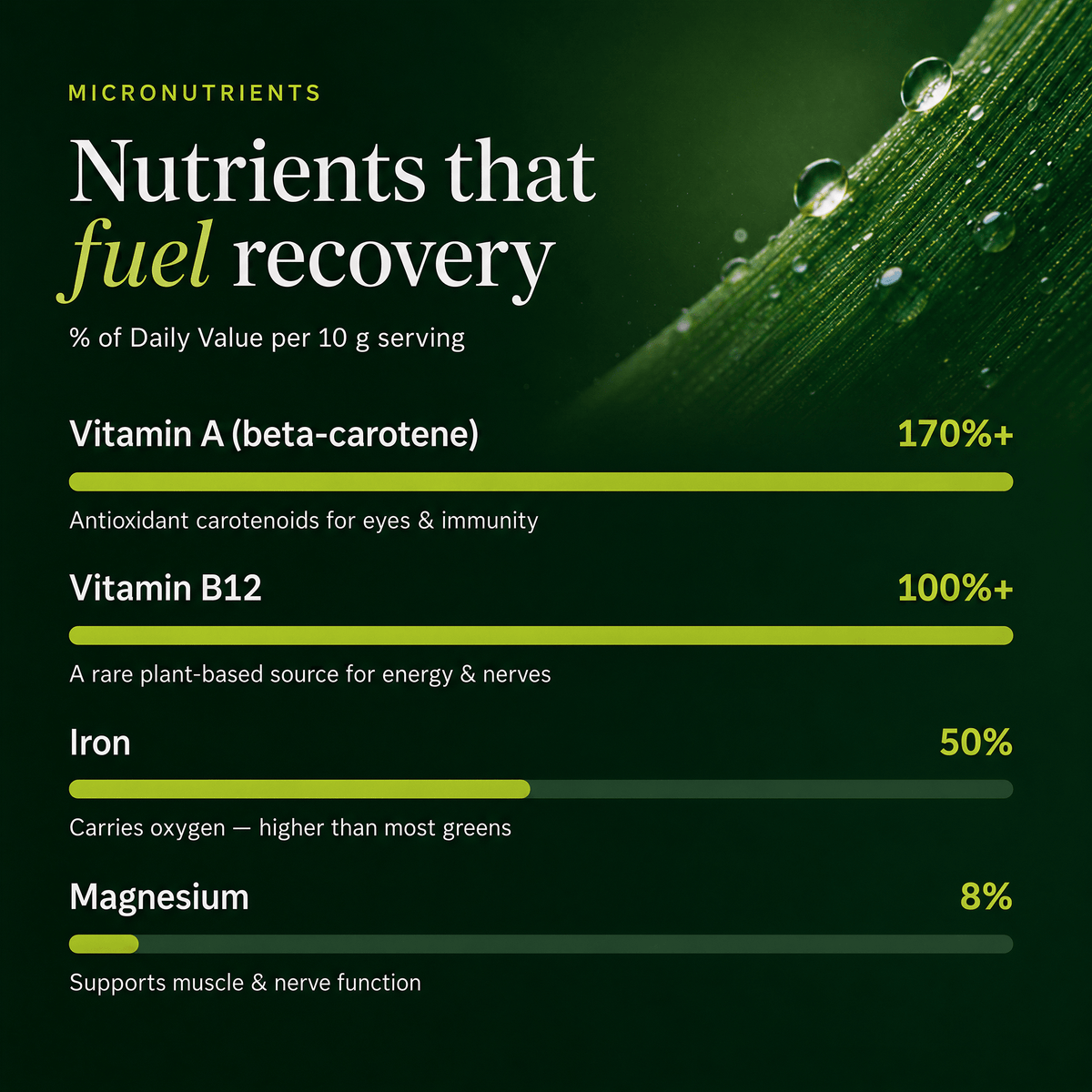 An infographic titled 'Nutrients that fuel recovery' under the Micronutrients section, showing a dark green background with a close-up of a water-droplet-covered leaf. It lists Vitamin A (beta-carotene) at 170%+, Vitamin B12 at 100%, Iron at 50%, and Magnesium at 8%, each with a horizontal progress bar.