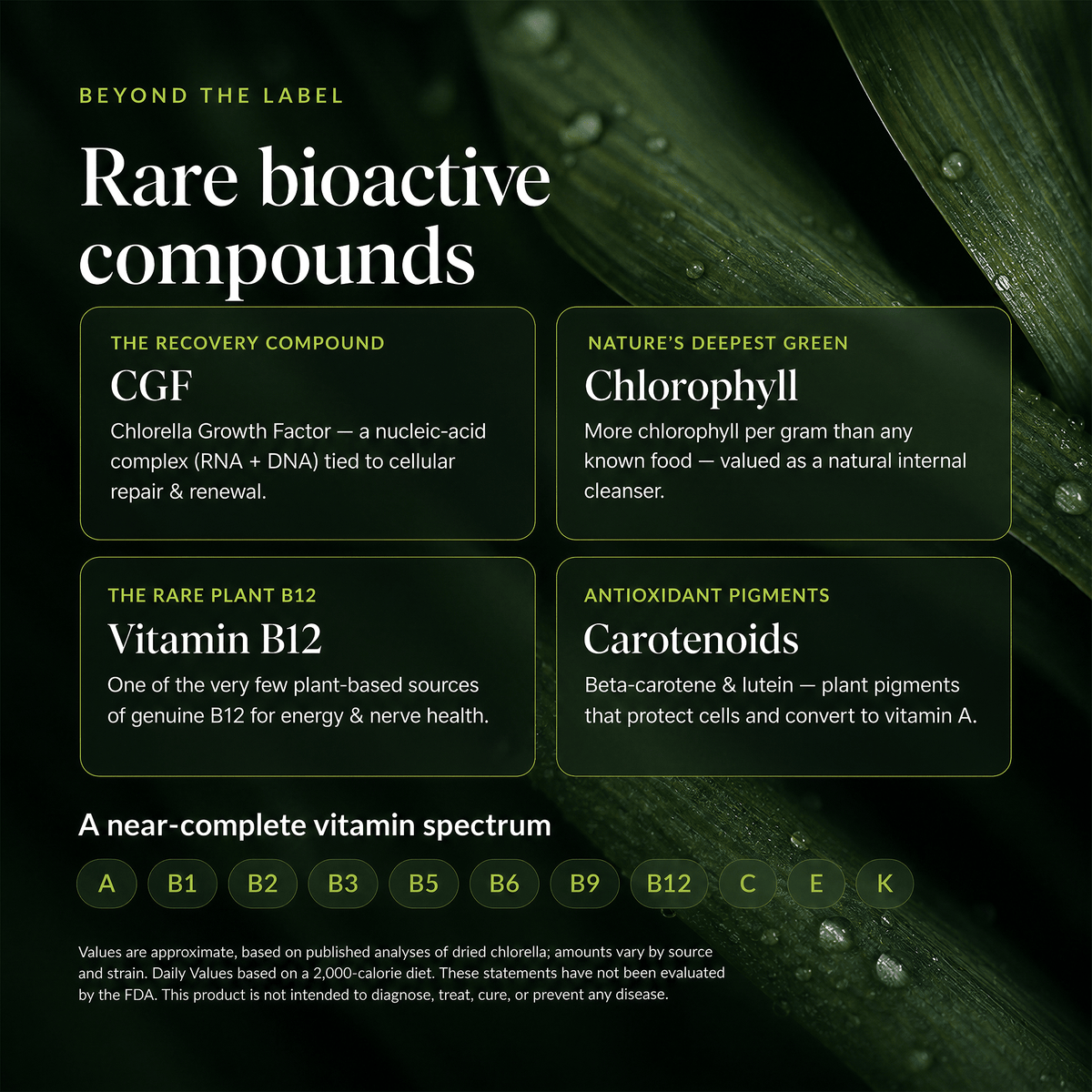 An informational graphic with a dark green leafy background and text panels explaining rare bioactive compounds: CGF, Chlorophyll, Vitamin B12, and carotenoids. A row of vitamin letter circles at the bottom reads A through K.