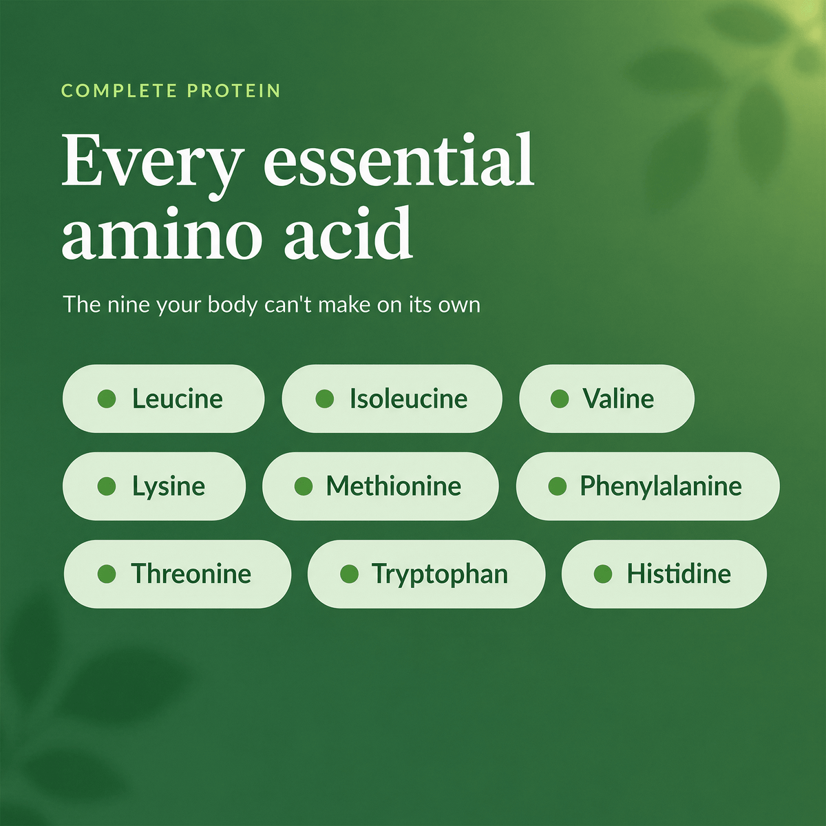 A green informational graphic with text reading 'Complete Protein' and 'Every essential amino acid,' plus a list of nine amino acids in rounded white boxes: Leucine, Isoleucine, Valine, Lysine, Methionine, Phenylalanine, Threonine, Tryptophan, and Histidine.