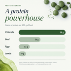 An infographic comparing protein density of various foods, featuring a horizontal bar chart with Chlorella (58 g), Beef (26 g), Eggs (13 g), and Lentils (9 g). The header reads 'A protein powerhouse' with 'Protein Density' at the top.