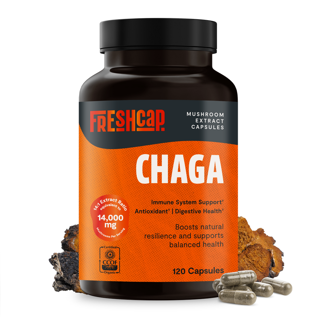 Bottle of Freshcap Chaga mushroom extract capsules on a white background