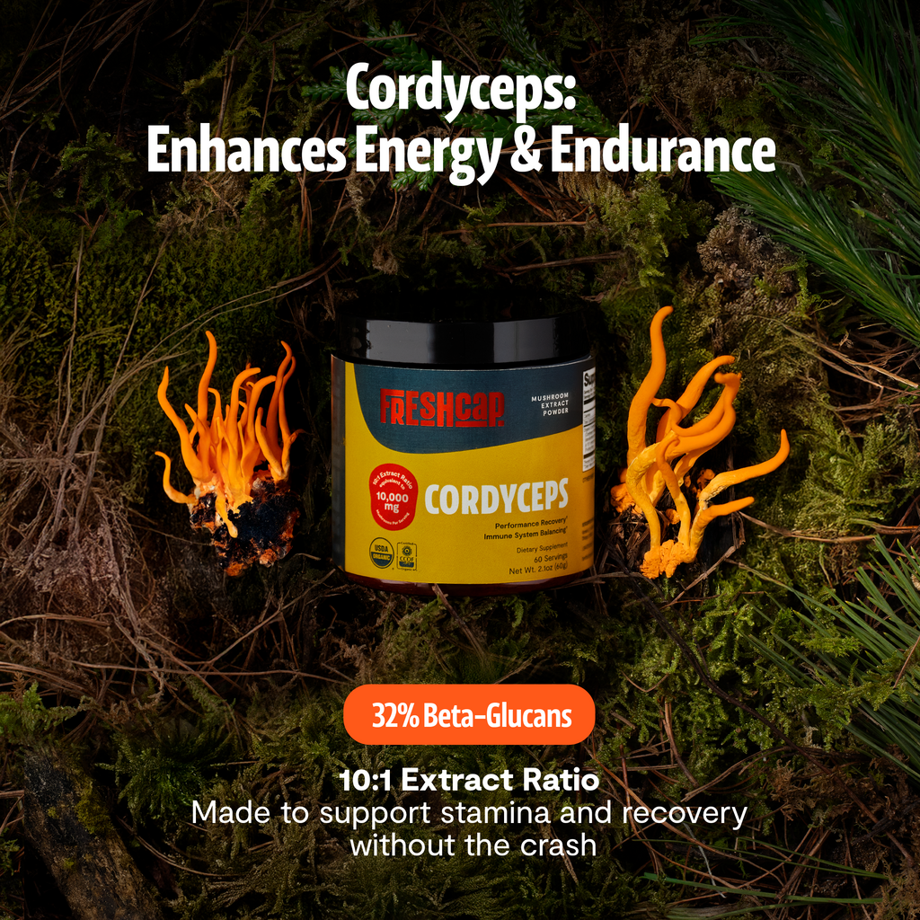 Cordyceps Mushroom Extract Powder | Energy & Performance | FreshCap