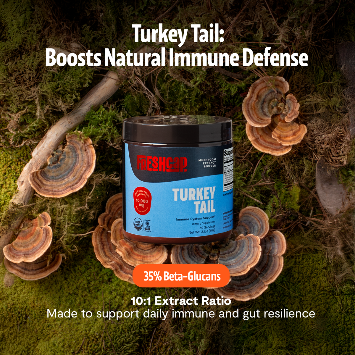 Organic Turkey Tail Mushroom Powder | FreshCap