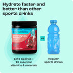 Sugar-Free Electrolyte Recovery Powder | Key Nutrients