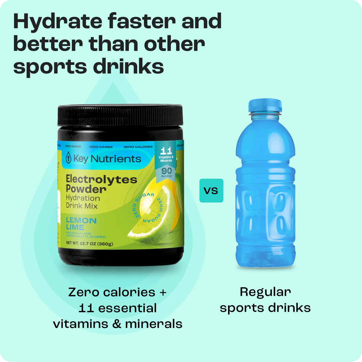 Sugar-Free Electrolyte Recovery Powder | Key Nutrients
