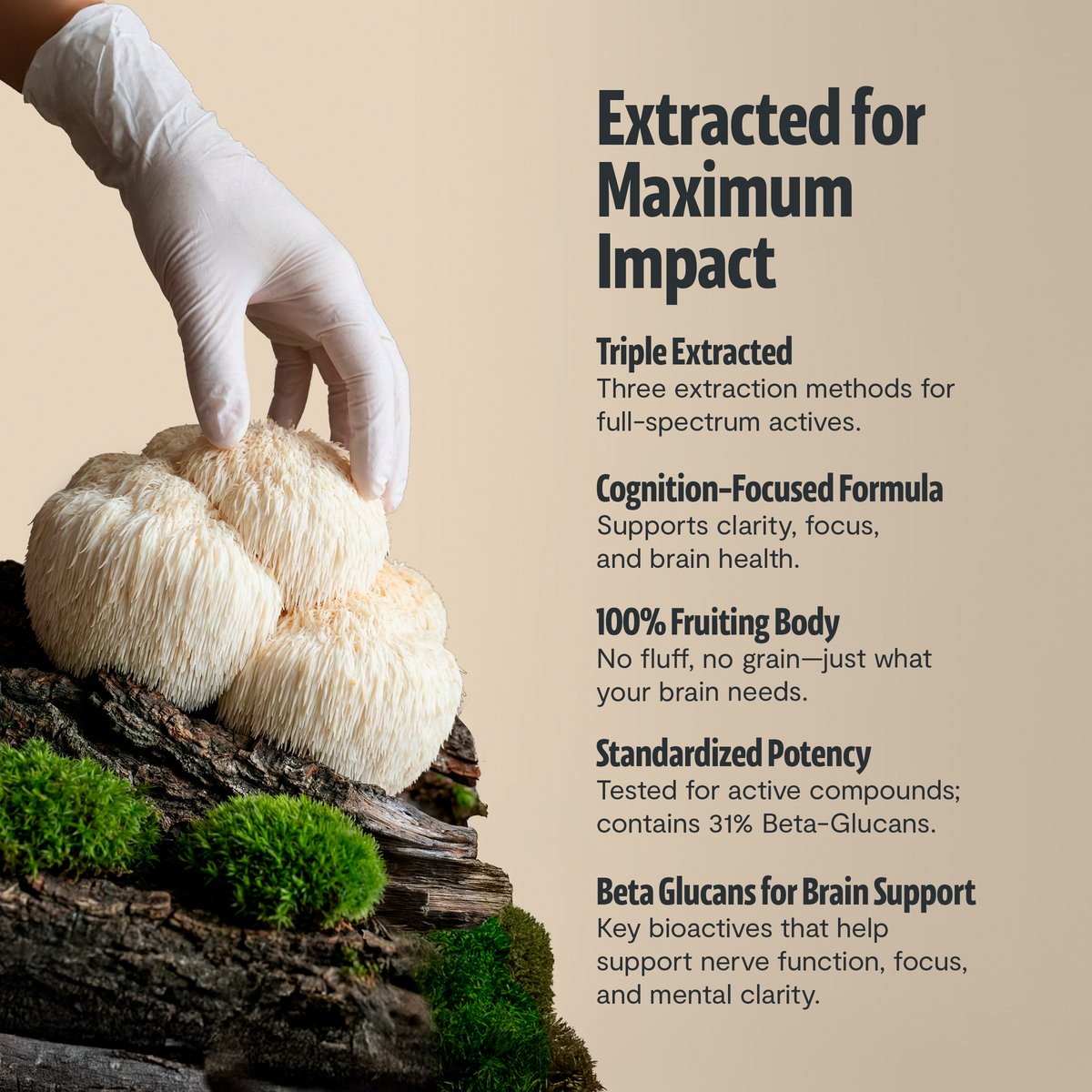 Organic Mushroom Complex Capsules | FreshCap Mushrooms