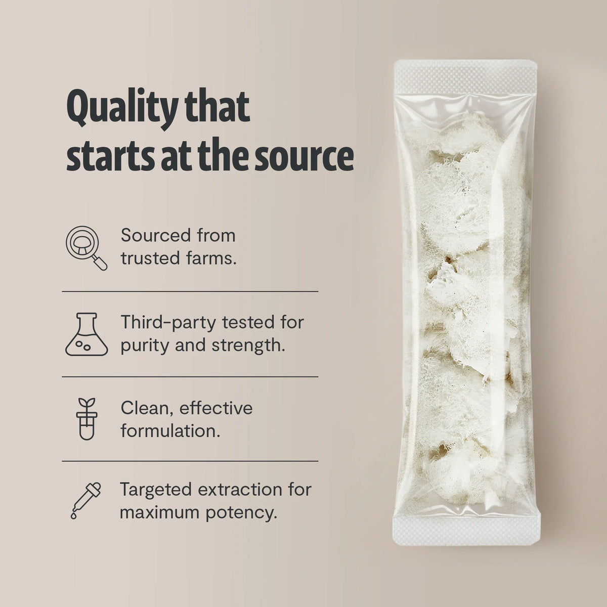 Organic Lion’s Mane Mushroom Powder | FreshCap