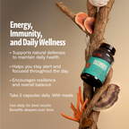 Organic Mushroom Complex Capsules | FreshCap Mushrooms