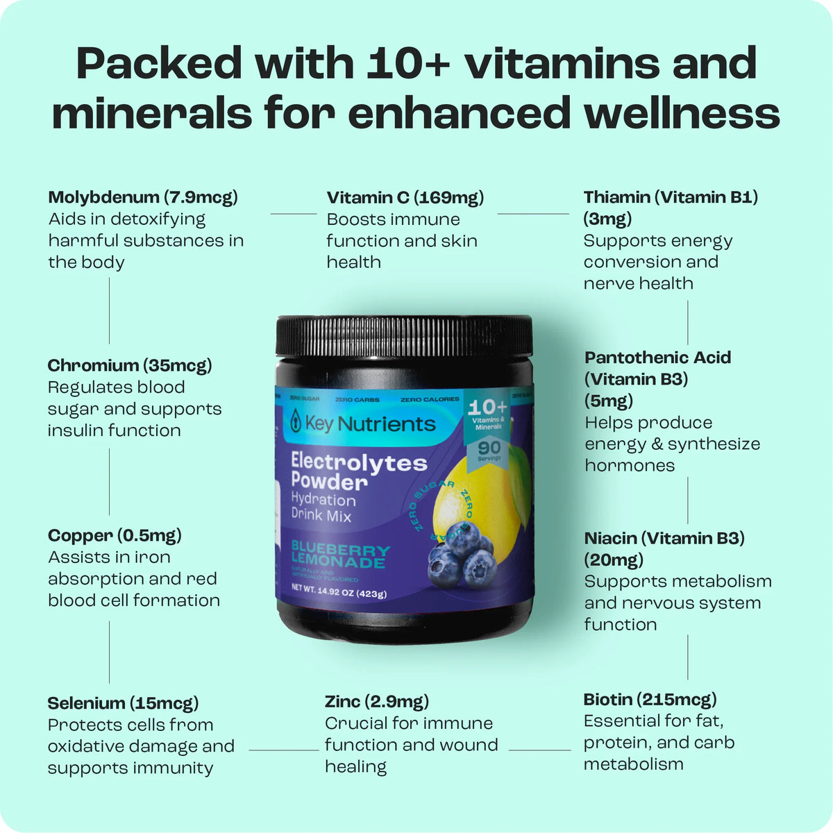 Sugar-Free Electrolyte Recovery Powder | Key Nutrients