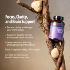 Organic Lion's Mane Capsules | Cognitive Support | FreshCap