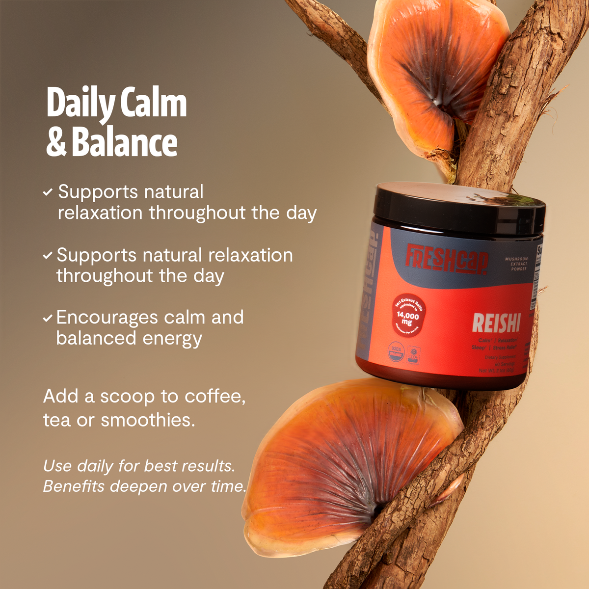 Reishi mushroom supplement jar on a branch with text about daily calm and balance.