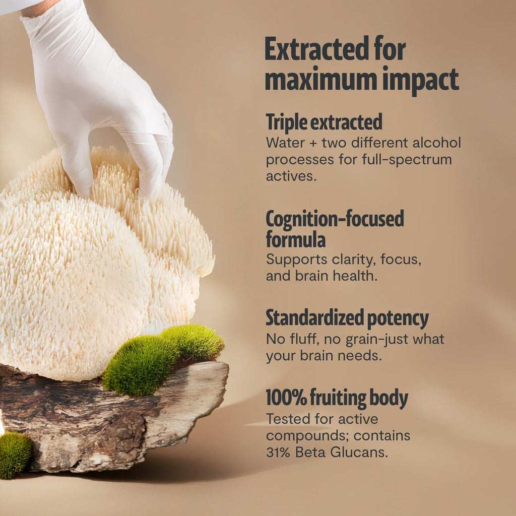 Organic Lion’s Mane Mushroom Powder | FreshCap