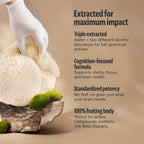 Organic Lion’s Mane Mushroom Powder | FreshCap