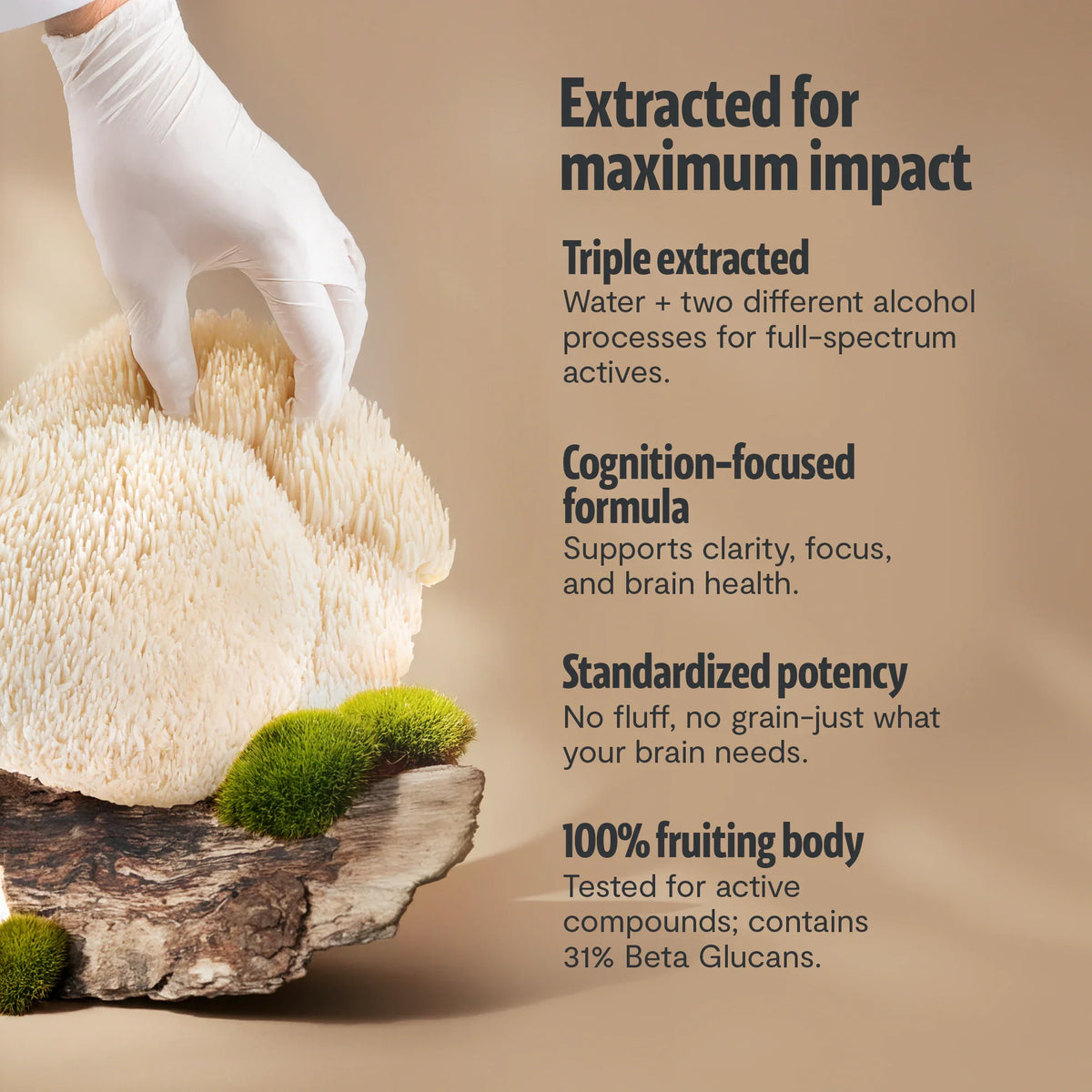 Organic Lion’s Mane Mushroom Powder | FreshCap