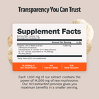 Organic Mushroom Complex Capsules | FreshCap Mushrooms
