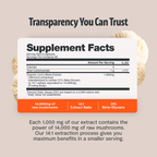 Organic Lion's Mane Capsules | Cognitive Support | FreshCap