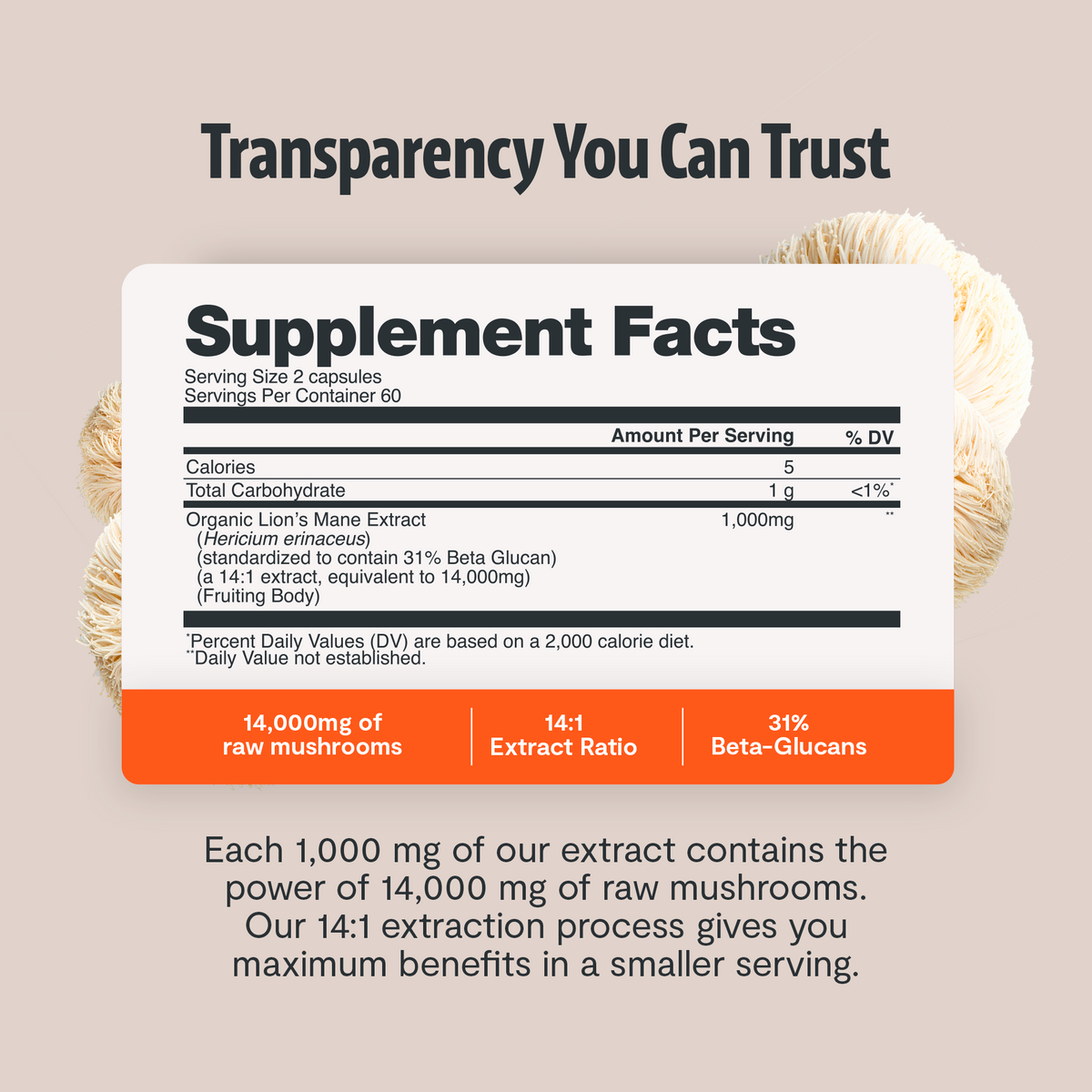 Organic Lion's Mane Capsules | Cognitive Support | FreshCap