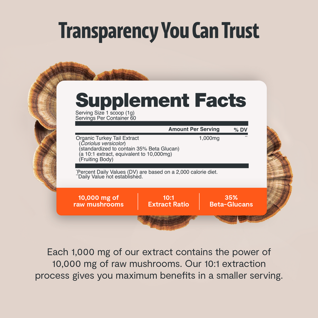 Organic Turkey Tail Mushroom Powder | FreshCap